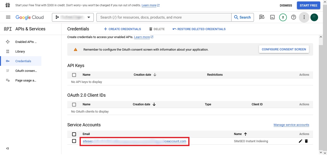 indexing-api-step6