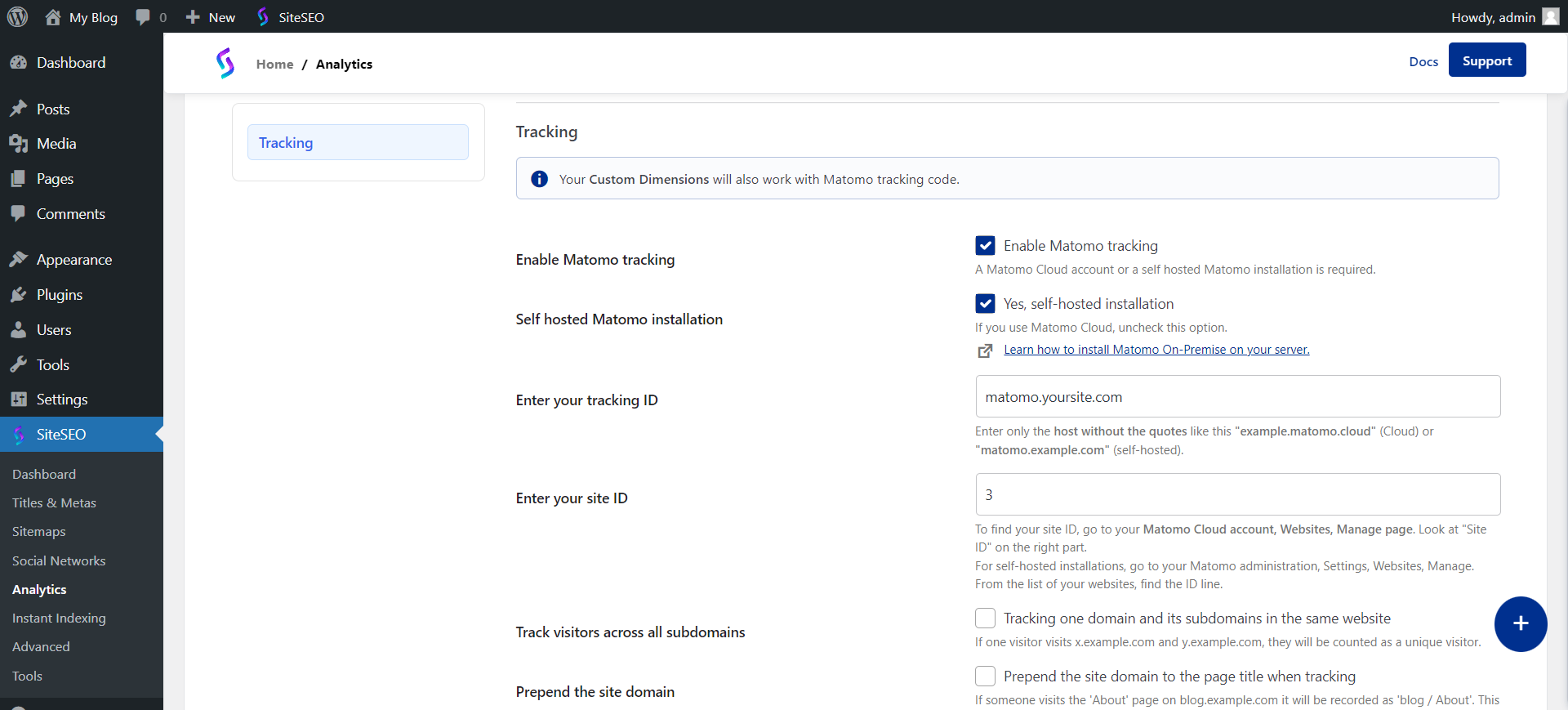 SiteSEO hosted Matomo Settings