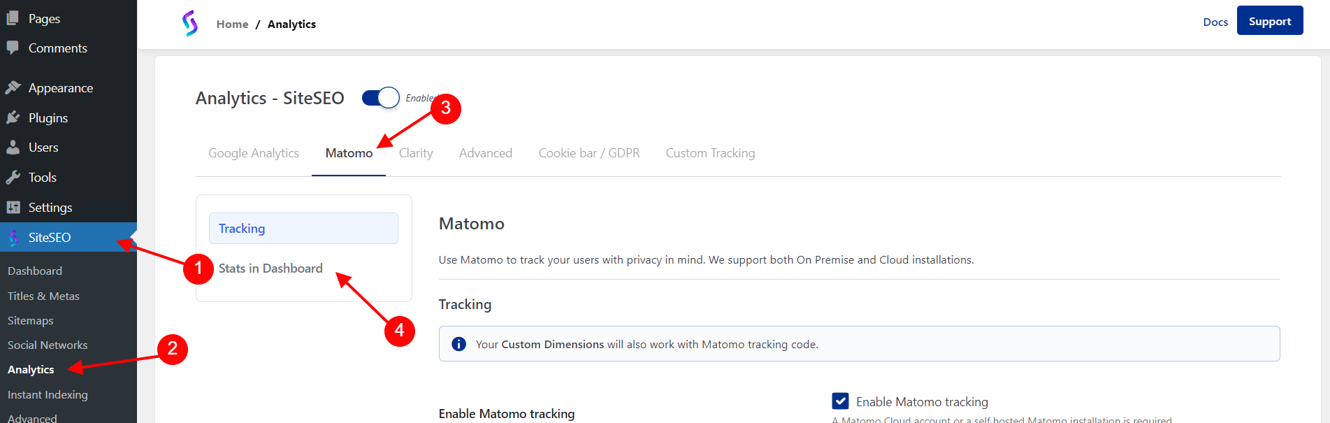 Matomo Stat in Dashboard section in SiteSEO